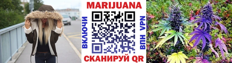 купить наркоту  Славгород  Шишки марихуана сатива 